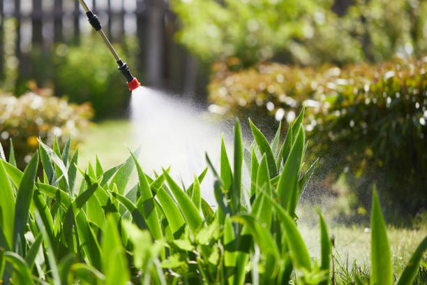 24/7 Emergency Mosquito Control experts in Montgomery, MN